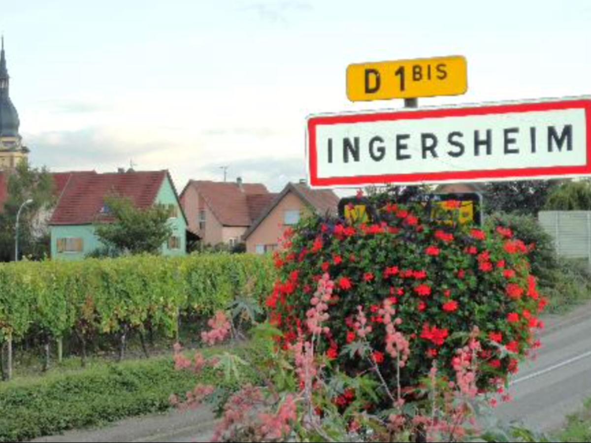 Gite Du Moulin Ingersheim Dış mekan fotoğraf